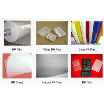 Vacuum Forming PP Sheet for Trays